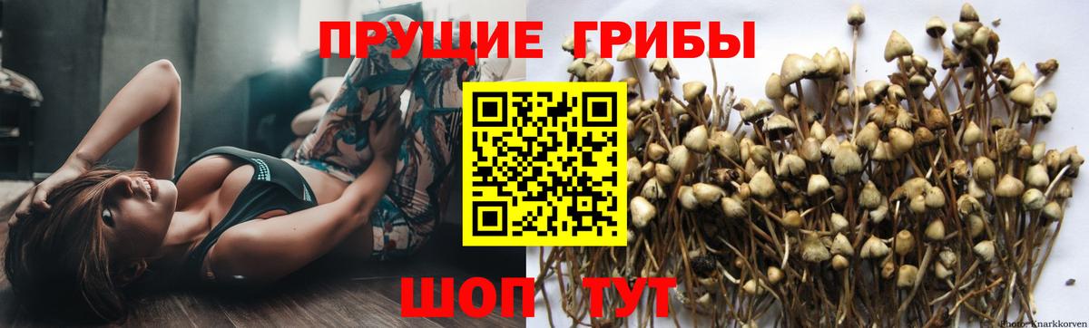 Галлюциногенные грибы ЛСД Советский